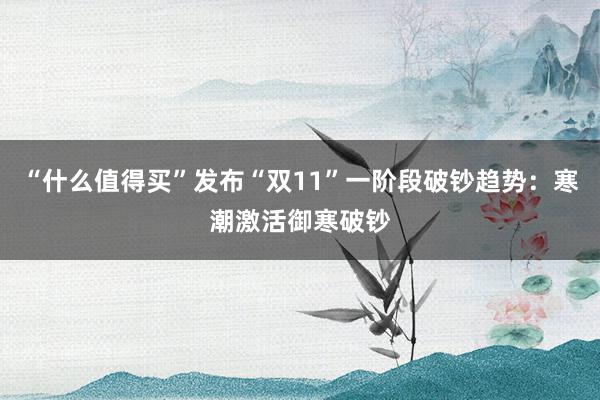 “什么值得买”发布“双11”一阶段破钞趋势:寒潮激活御寒破钞